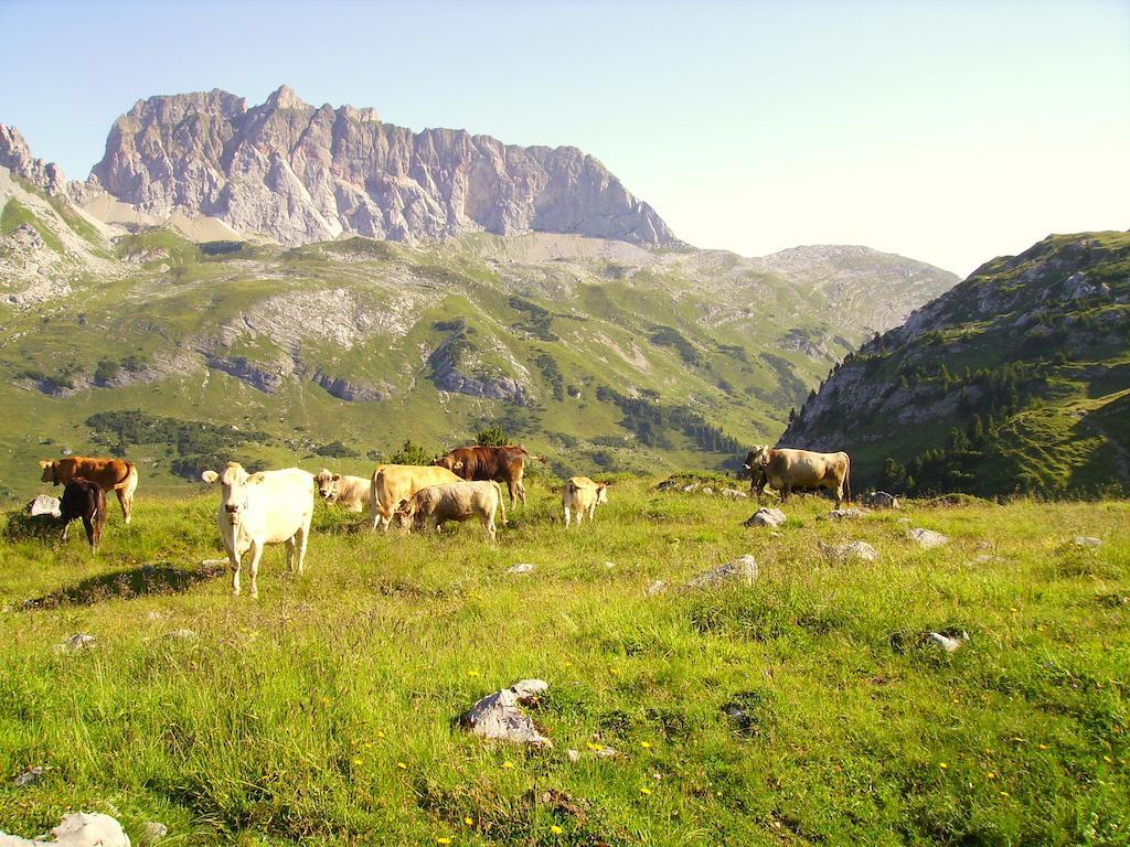 Haus Simma Leilighet Dalaas Rom bilde